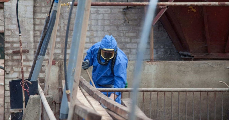 asbestos removal services