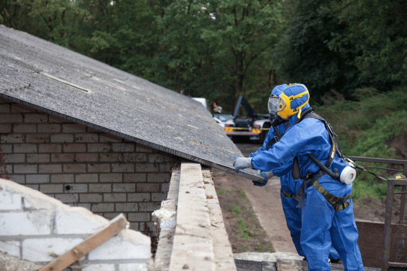 asbestos cement sheet; asbestos cement sheeting