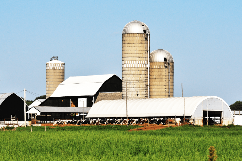 View of stables and farm building.