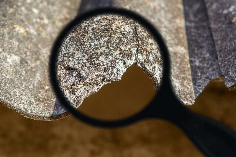asbestos with magnifying glass. asbestos in residential properties