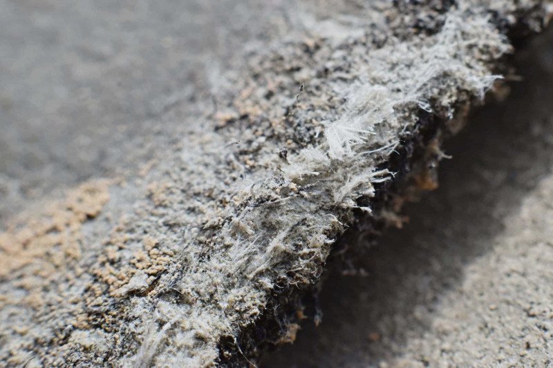 Image of asbestos fibres that can be found in the air.